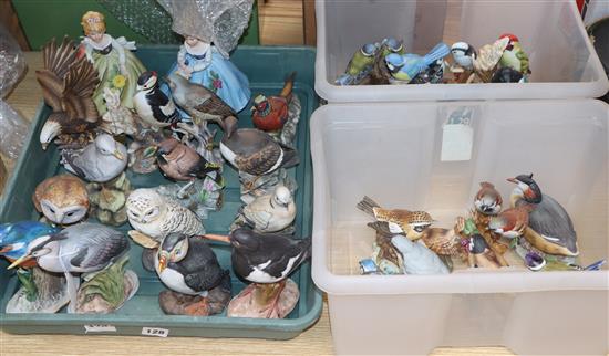 A collection of coloured biscuit porcelain models of birds